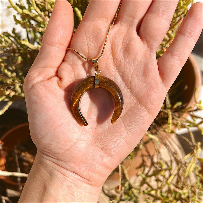 Tigers Eye Horn Pendent Necklace